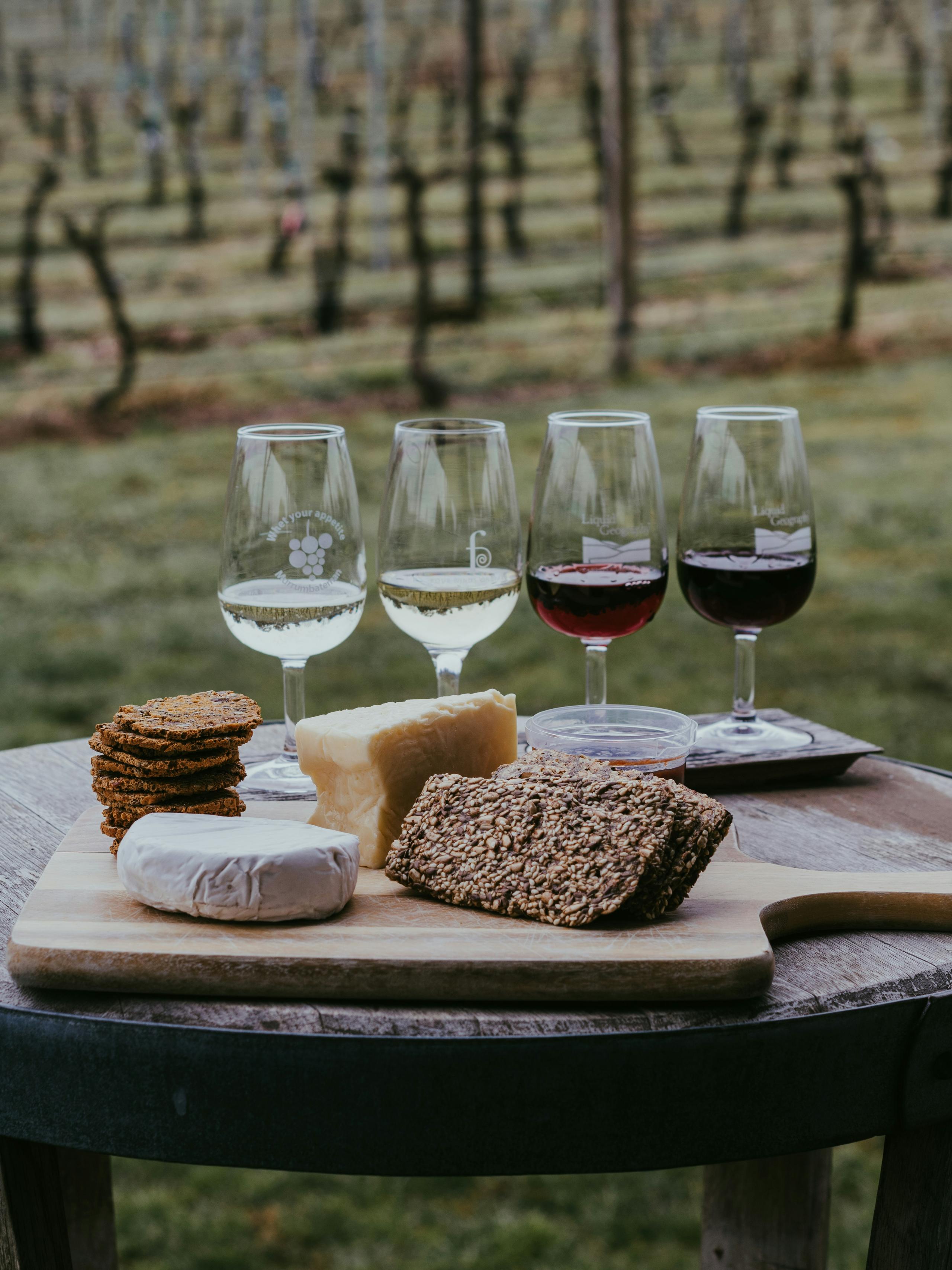 Degustazione di vini e formaggi tra i vigneti